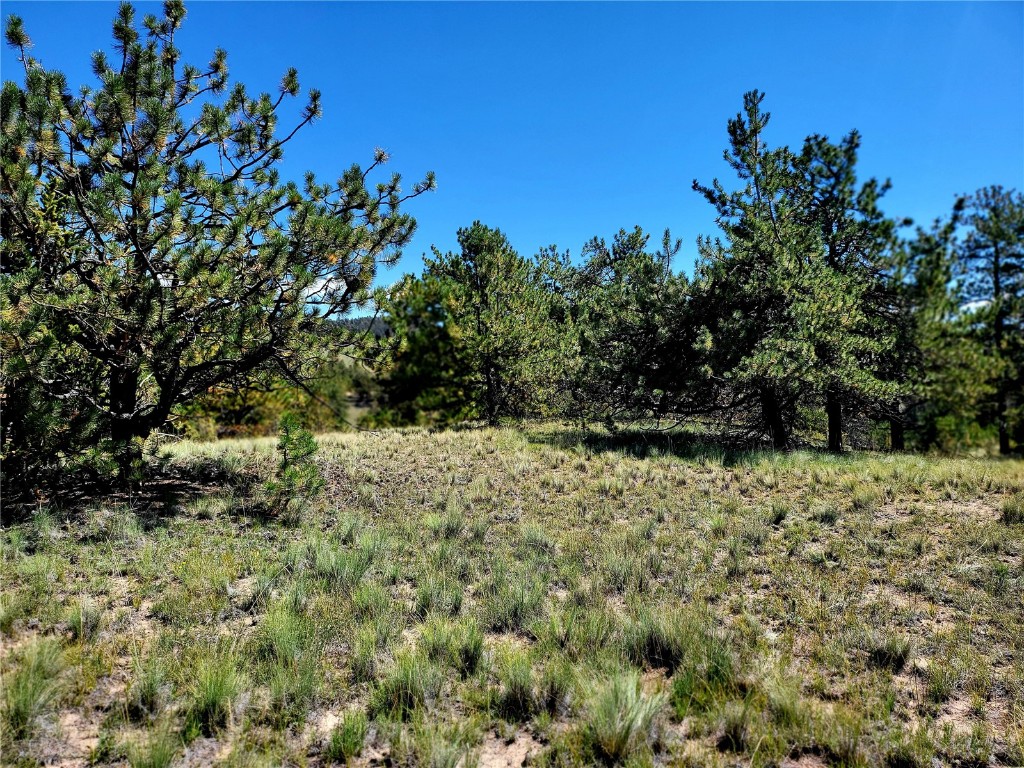 4206 Fitzsimmons Road Hartsel, CO 80449 - Photo 28 of 29 Gallery Image 28