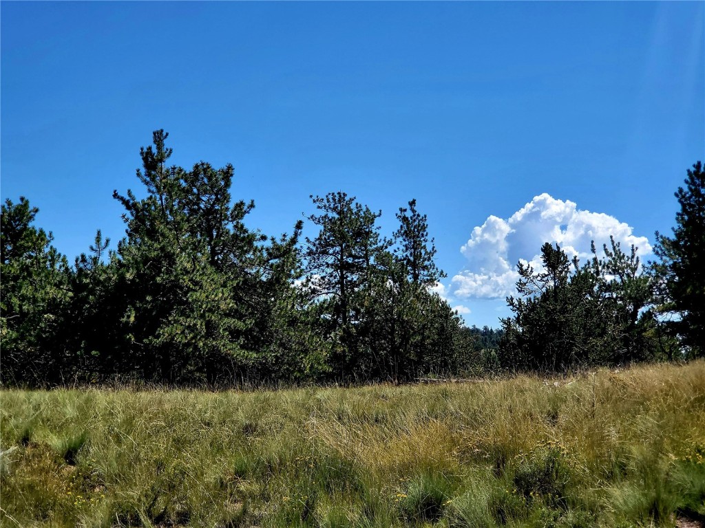 4206 Fitzsimmons Road Hartsel, CO 80449 - Photo 29 of 29 Gallery Image 29