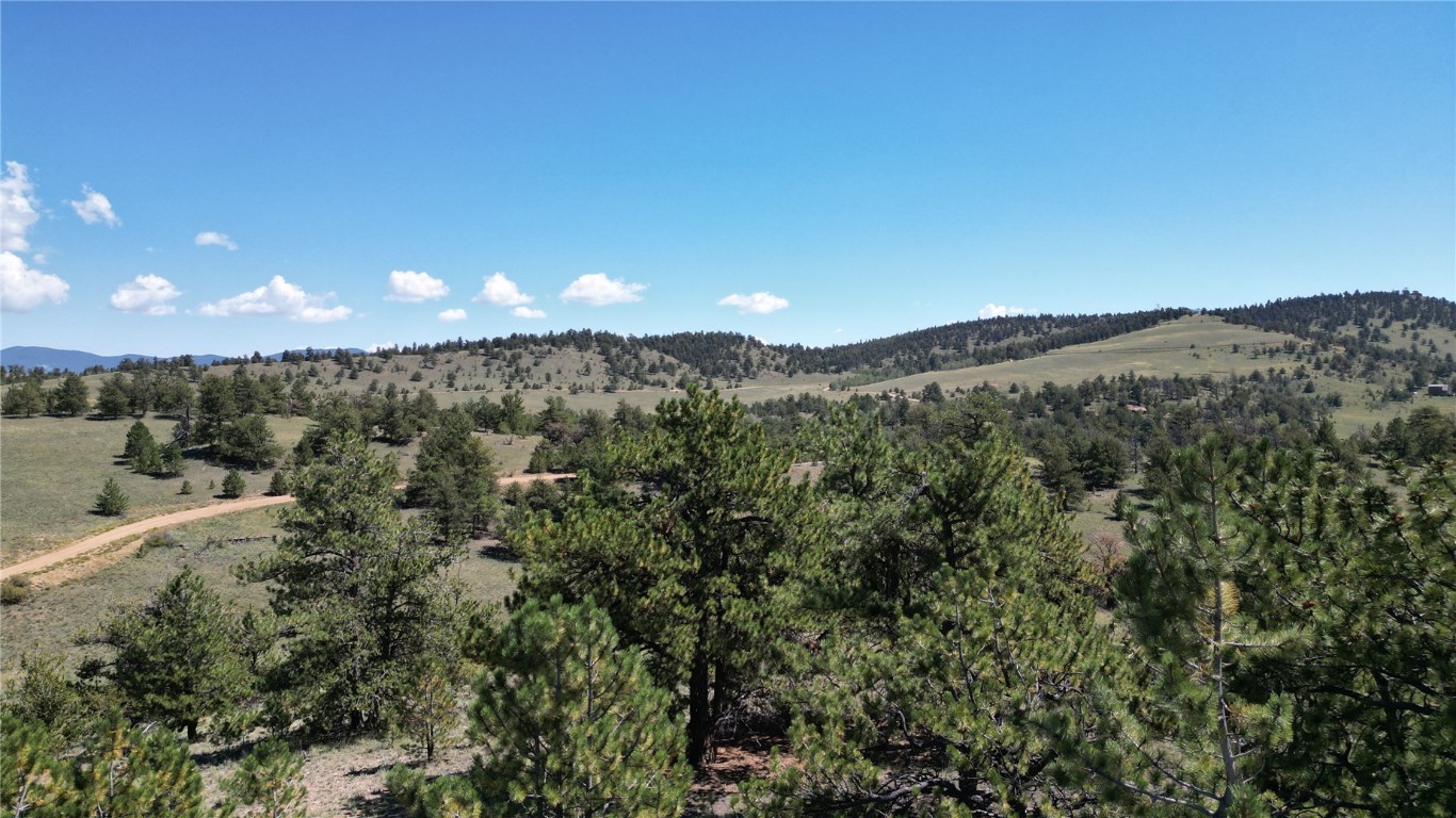 4206 Fitzsimmons Road Hartsel, CO 80449 - Photo 3 of 29 Gallery Image 3