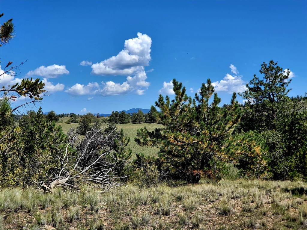 4206 Fitzsimmons Road Hartsel, CO 80449 - Photo 5 of 29 Gallery Image 5