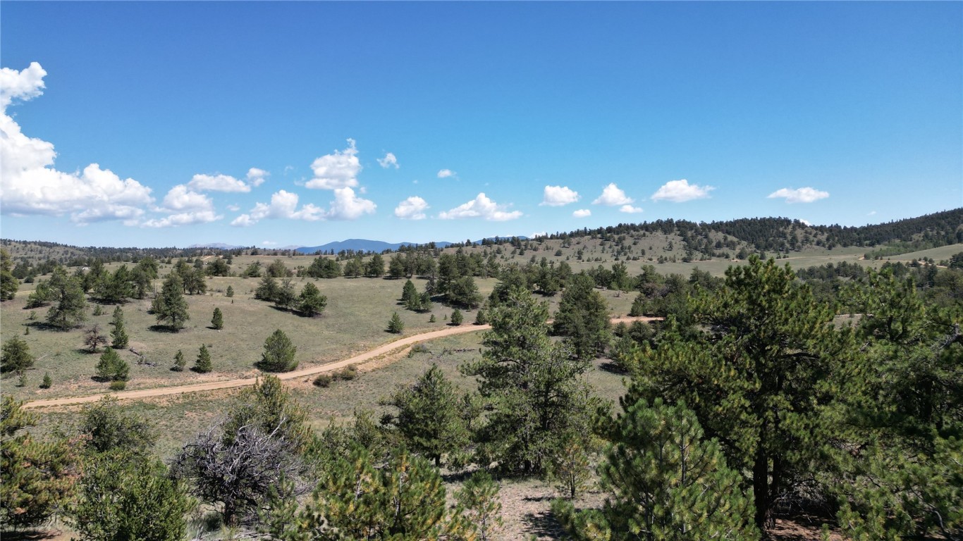 4206 Fitzsimmons Road Hartsel, CO 80449 - Photo 6 of 29 Gallery Image 6