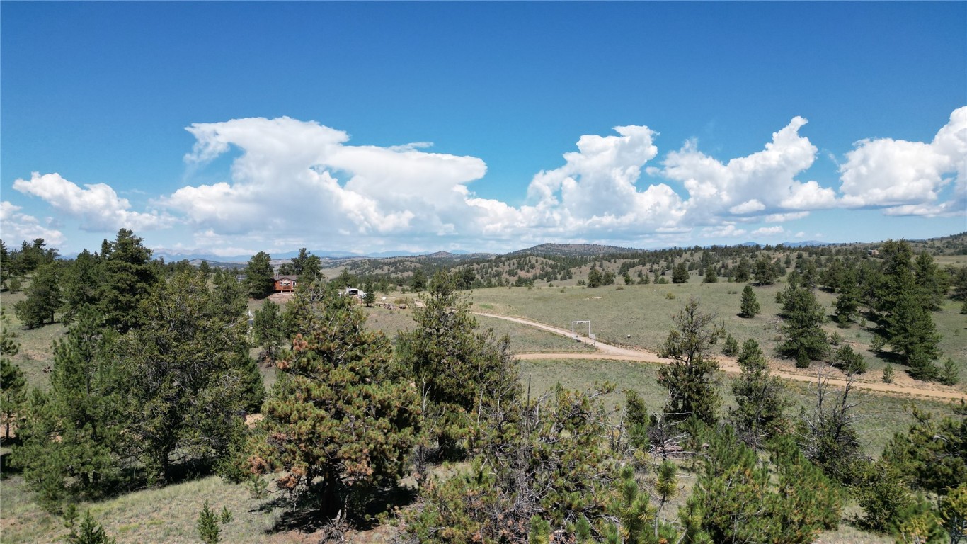 4206 Fitzsimmons Road Hartsel, CO 80449 - Photo 7 of 29 Gallery Image 7