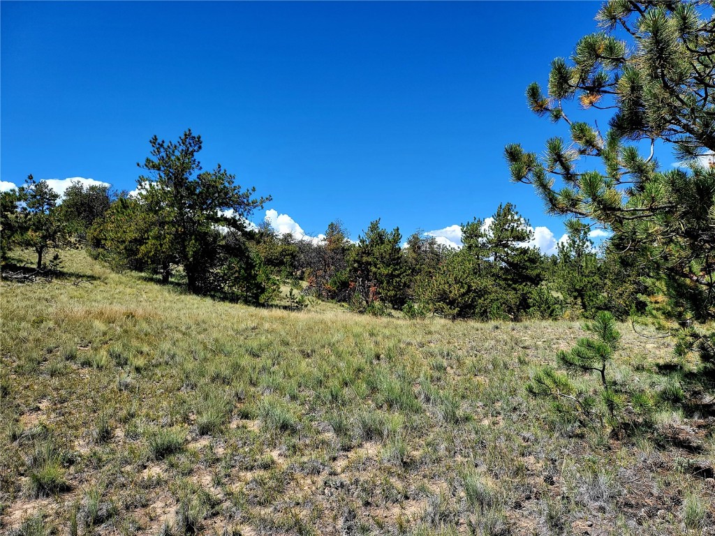4206 Fitzsimmons Road Hartsel, CO 80449 - Photo 8 of 29 Gallery Image 8