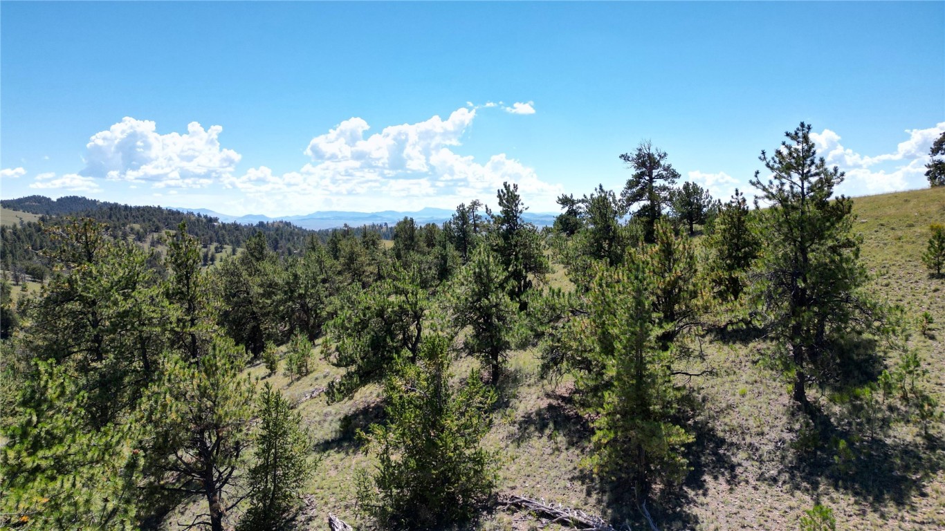 4206 Fitzsimmons Road Hartsel, CO 80449 - Photo 9 of 29 Gallery Image 9