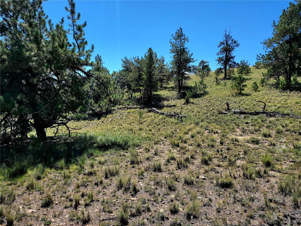 4206 Fitzsimmons Road Hartsel, CO 80449 - Photo 10 of 29 Gallery Image 10