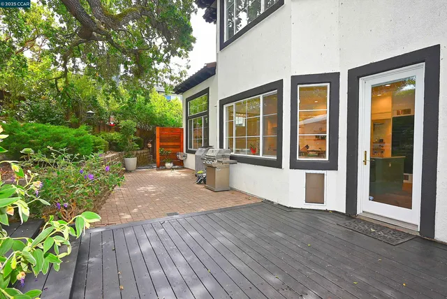 a view of a backyard with plants and large trees