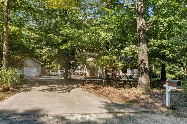 a view of a plant in a garden