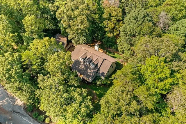 a view of a garden with a tree