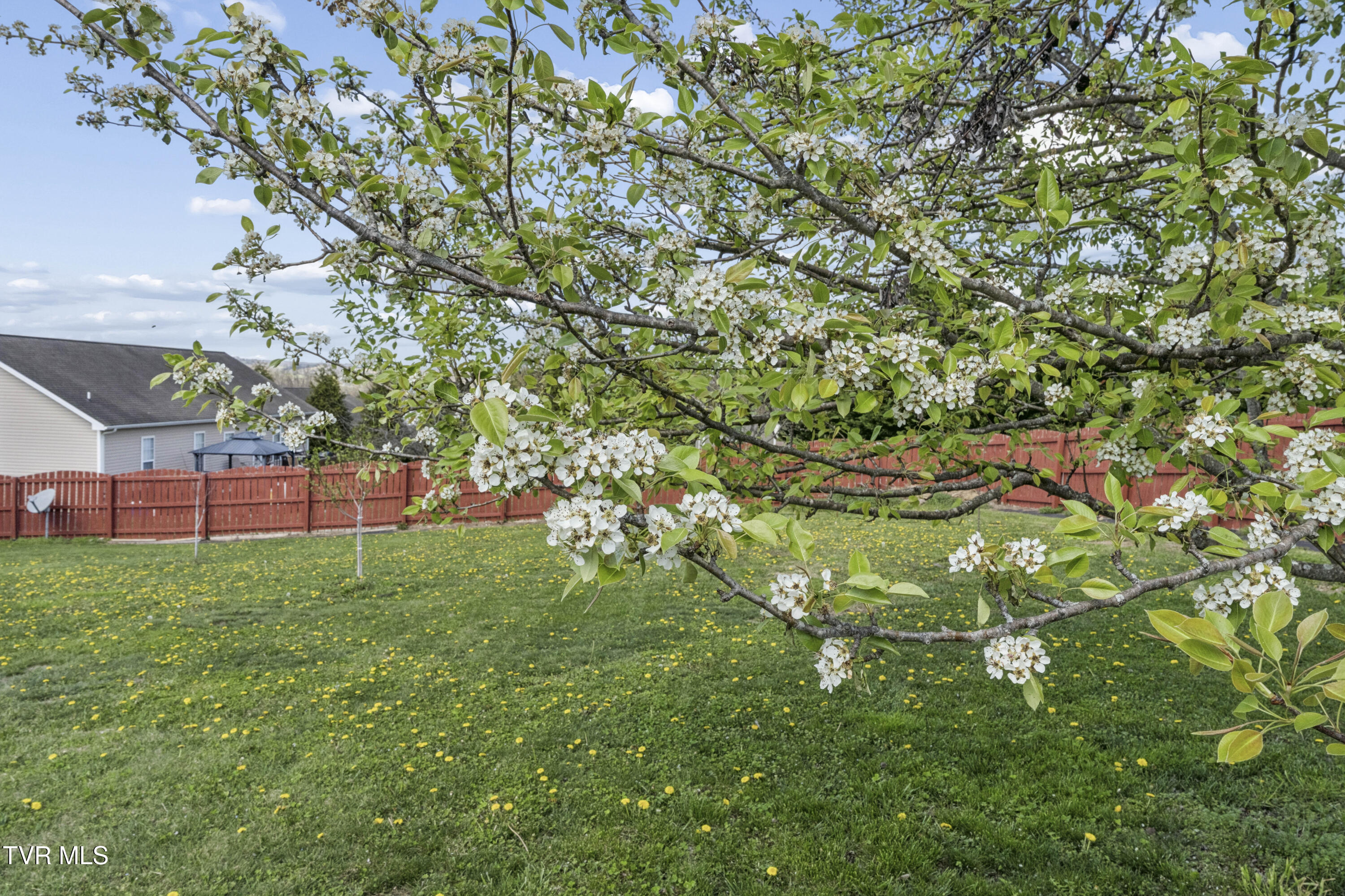 401 Leesburg Road Telford, TN 37690 - Photo 47 of 55 Leesburg2-58