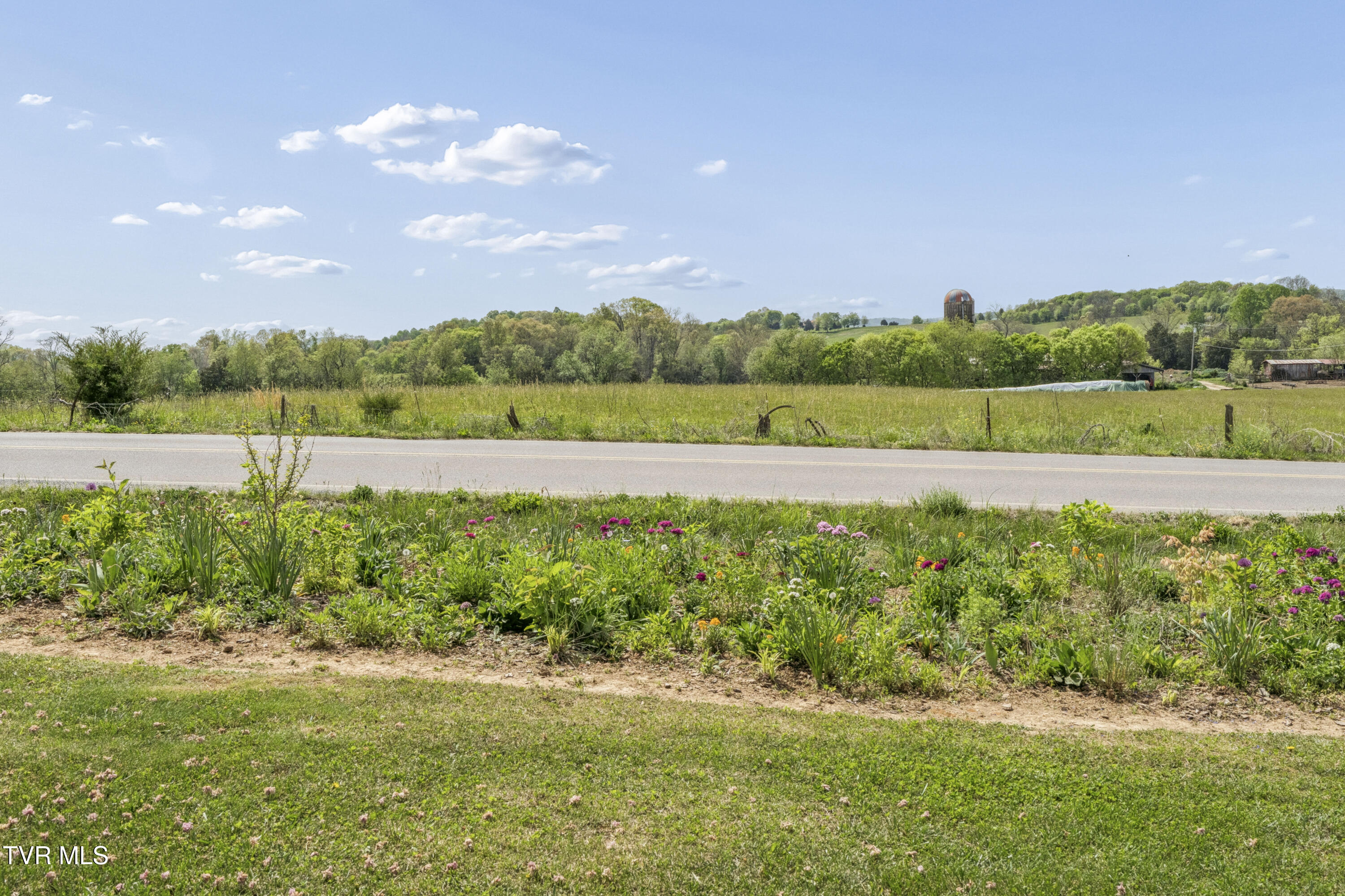 401 Leesburg Road Telford, TN 37690 - Photo 60 of 62 LeesburgFloral-10