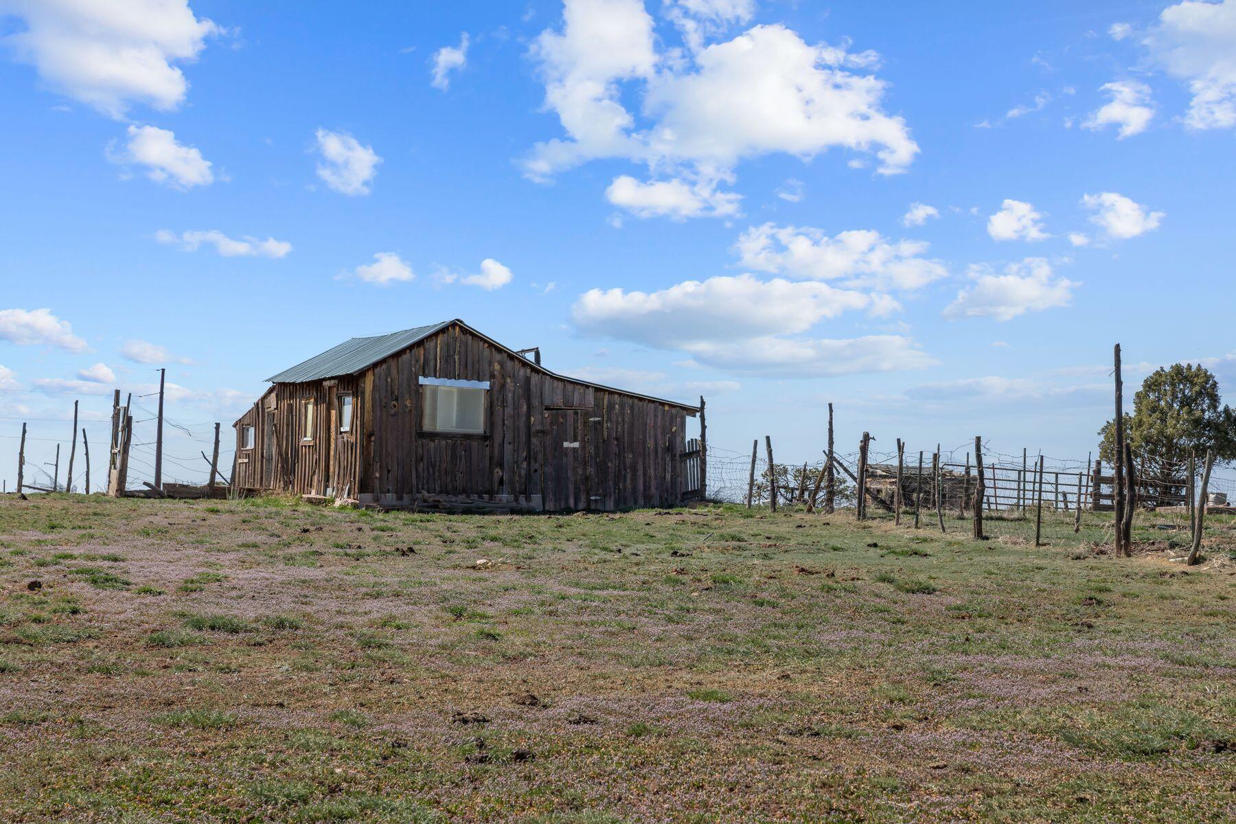 452 County Rd AA 40 Norwood, CO 81423 - Photo 42 of 49 452 County Rd AA 40, Norwood, CO