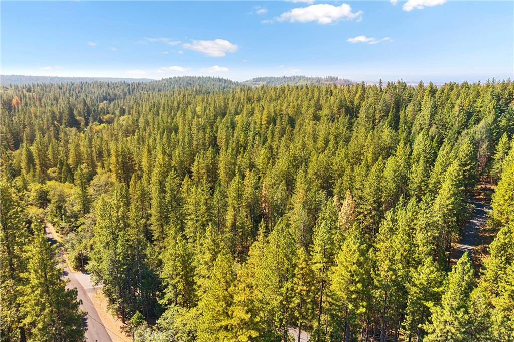 4758 A J Stohr Road Forest Ranch, CA 95942 - Photo 68 of 72 Gallery Image 68