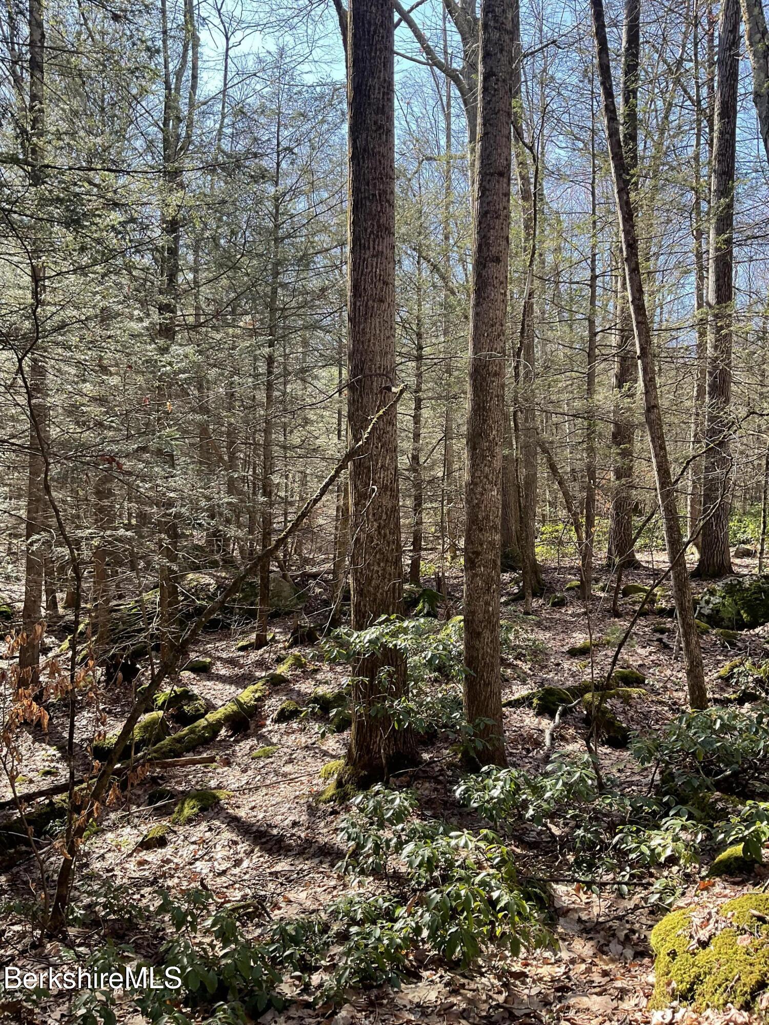 Lot #10 East Mountain Road Great Barrington, MA 01230 - Photo 2 of 3 Lightly Wooded Mixed Forest