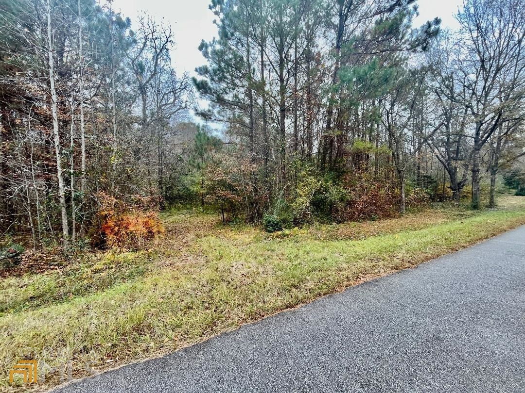 0 Paul Maddox Road, Unit 5 46 ACRES Jackson, GA 30233 - Photo 1 of 1 Gallery Image 1