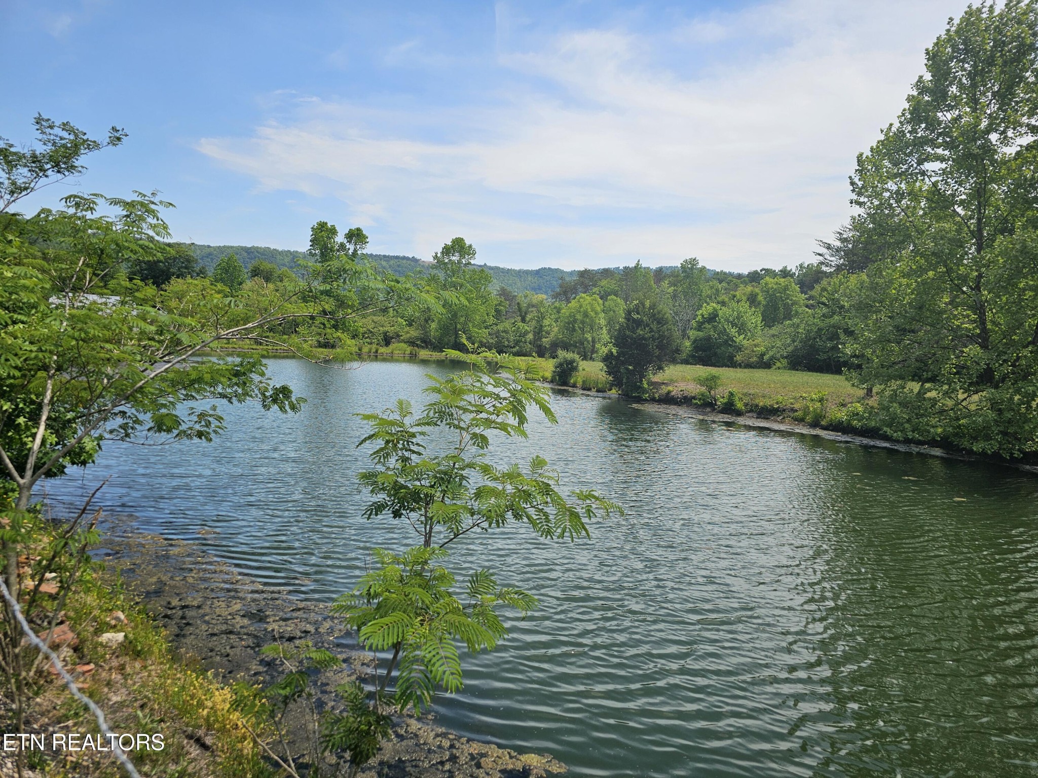 275 Republican Hill Road Newcomb, TN 37819 - Photo 15 of 34 Gallery Image 15