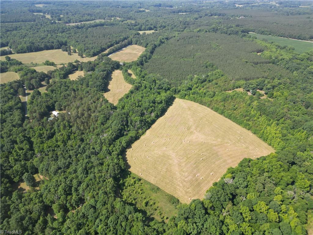 7875 Antioch Church Road Seagrove, NC 27341 - Photo 9 of 44