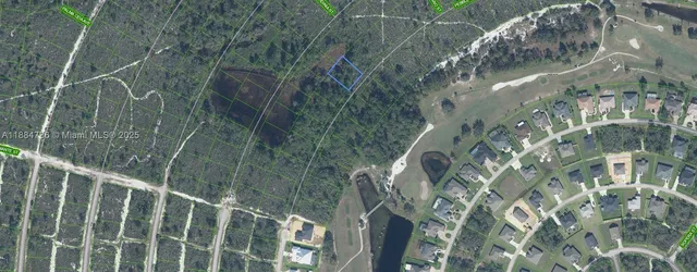 a view of a green plant in a garden