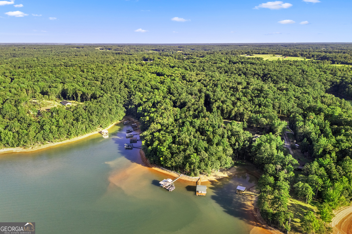 122 Hodges Lane Hartwell, GA 30643 - Photo 12 of 37 a view of a garden with an outdoor space