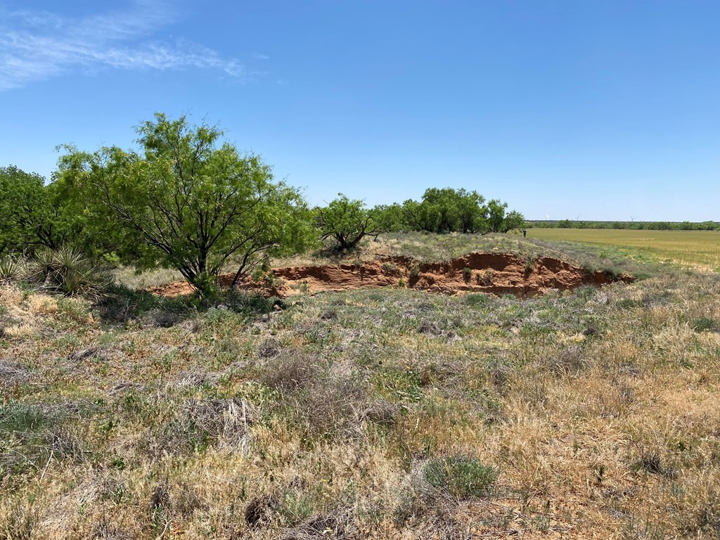 0 Fm 669 Big Spring Big Spring, TX 79720 - Photo 4 of 22 Photo 4
