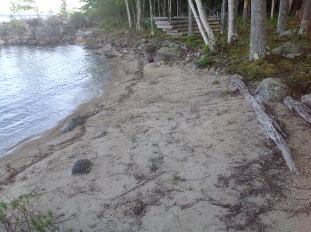 158 Ridge Road Standish, ME 04084 - Photo 8 of 10 waterfront beach in the fall