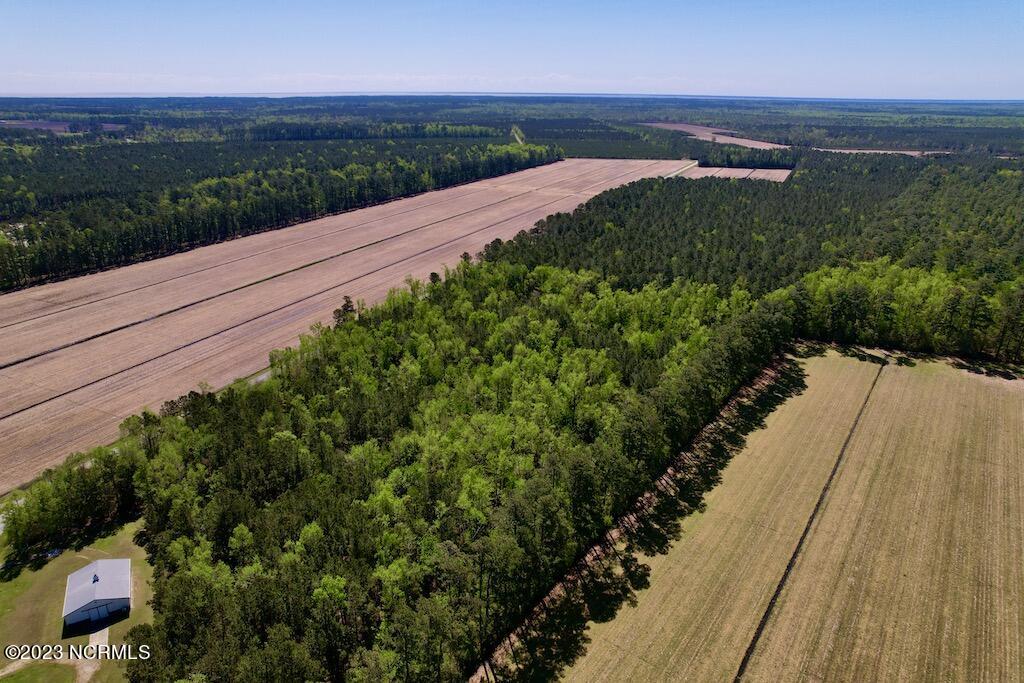 0 Arant Farm Road Merritt, NC 28556 - Photo 8 of 38 7
