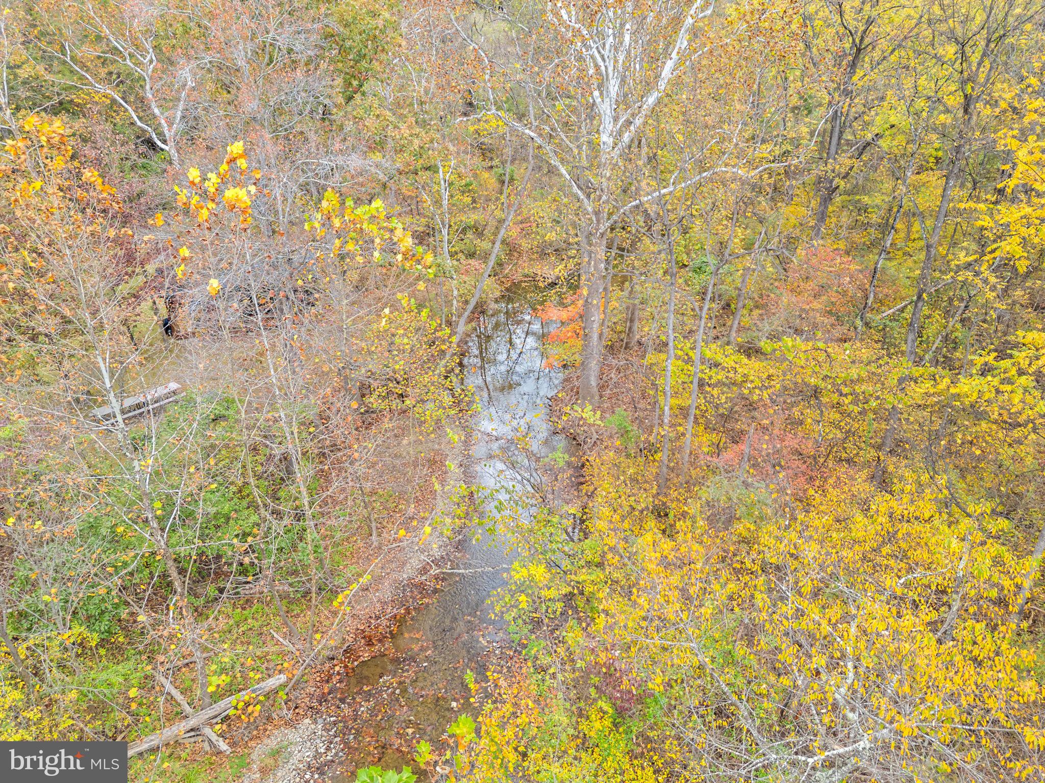 1631 Back Mountain Road Winchester, VA 22602 - Photo 86 of 86 Creek flowing through the property
