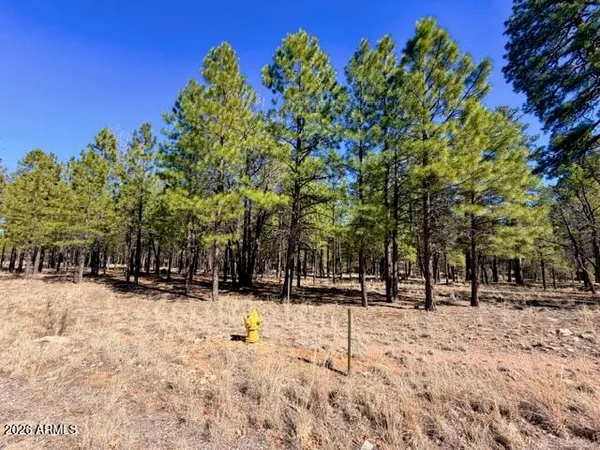 a street view covered with snow