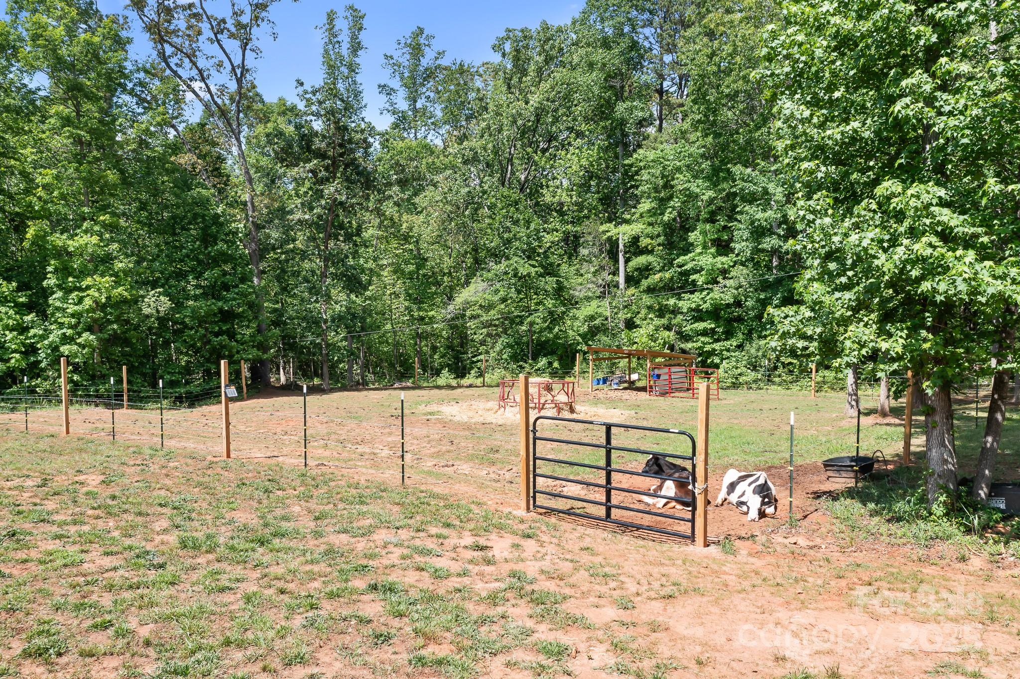 720 Cricket Lane Mount Ulla, NC 28125 - Photo 39 of 40