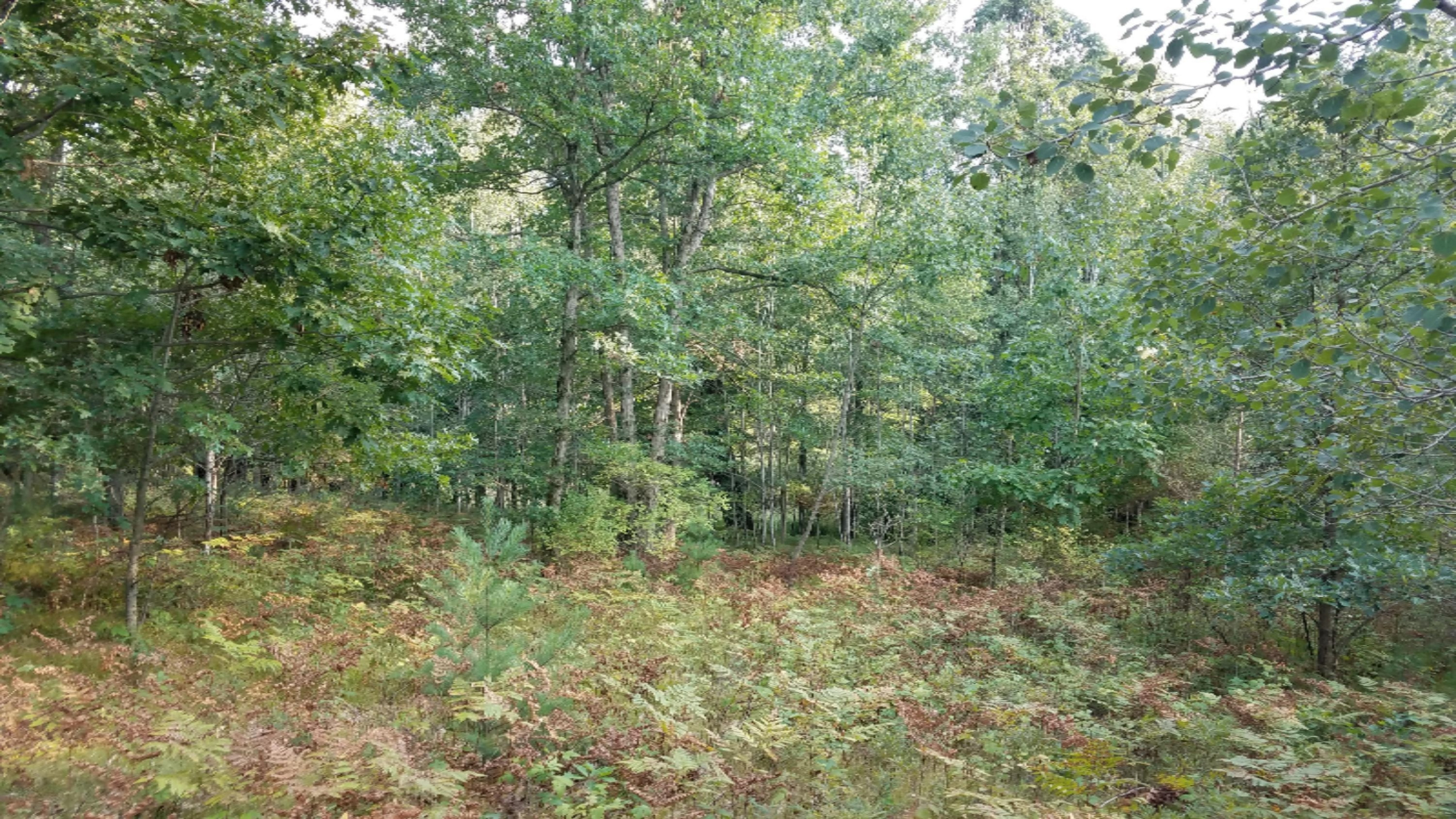 747 20 Mile Road Barryton, MI 49305 - Photo 7 of 9 E-4