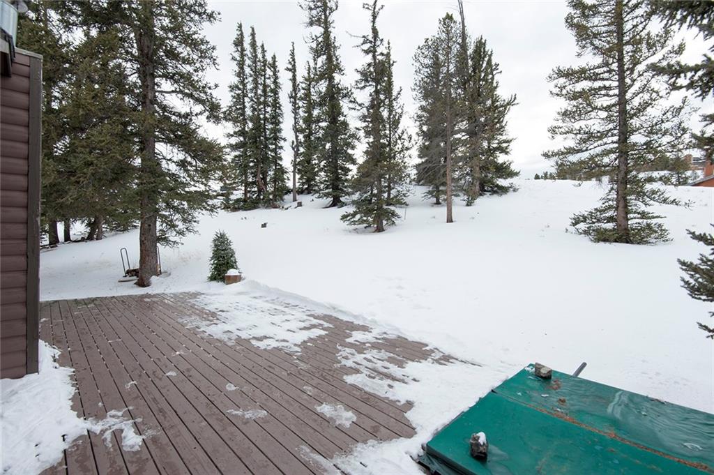 76 Lakeside Drive Dillon, CO 80435 - Photo 11 of 23 a view of empty room and yard