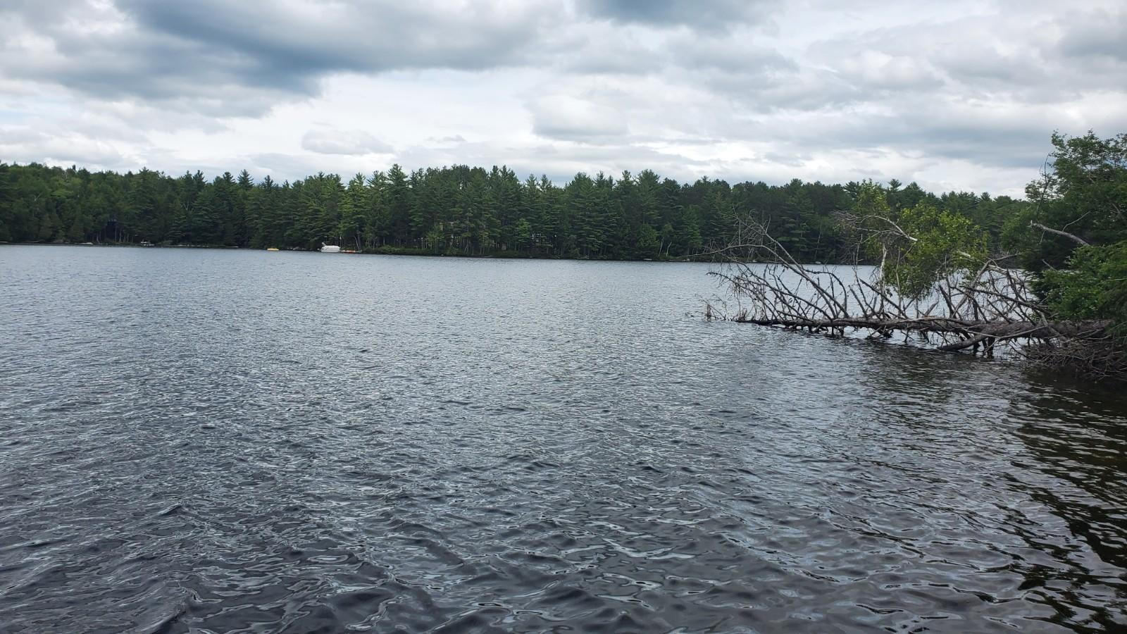 7 Trails End Road Lincoln, ME 04457 - Photo 11 of 15 20210701_135154