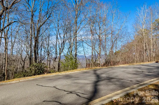 a view of dirt yard with a large tree
