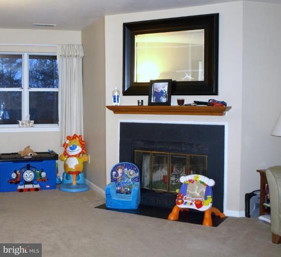 6 Fallen Tree Court, Unit 6E Halethorpe, MD 21227 - Photo 3 of 13 Cozy Fireplace