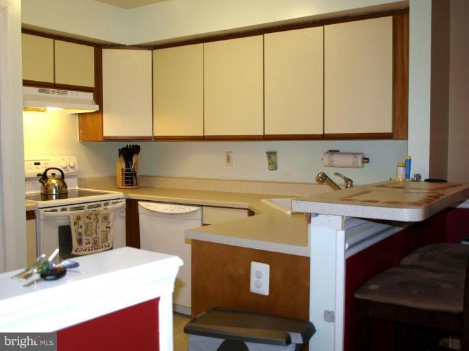 6 Fallen Tree Court, Unit 6E Halethorpe, MD 21227 - Photo 6 of 13 Kitchen with breakfast bar