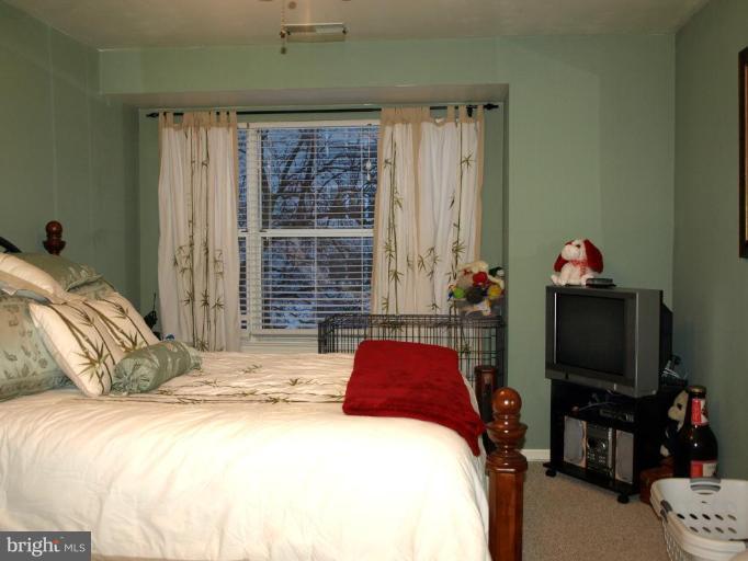 6 Fallen Tree Court, Unit 6E Halethorpe, MD 21227 - Photo 8 of 13 Master Bedroom with separate bath