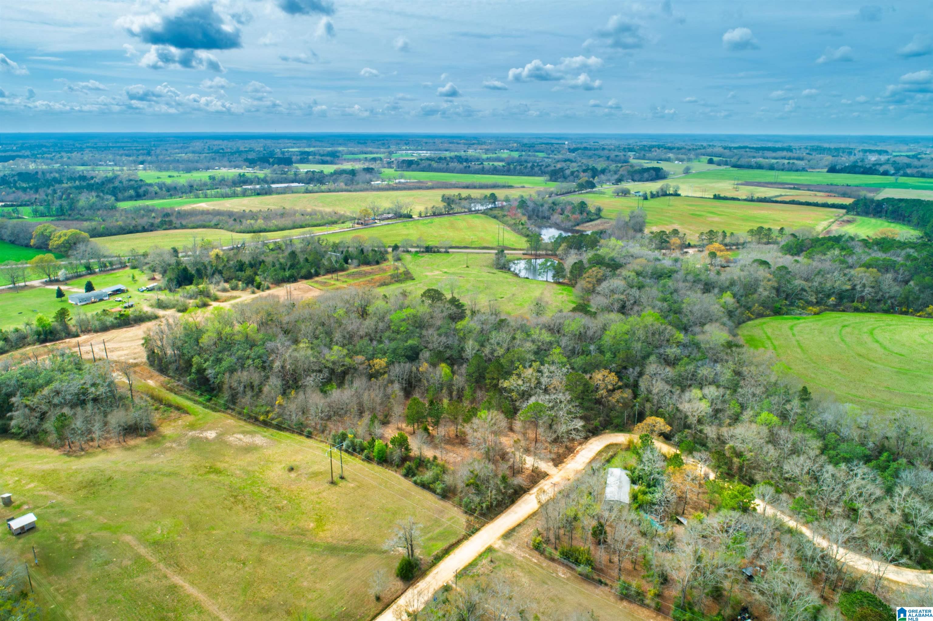 27180 Deer Run Road Opp, AL 36467 - Photo 6 of 60