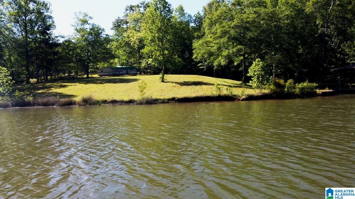 244 County Road 2011 Delta, AL 36258 - Photo 4 of 29