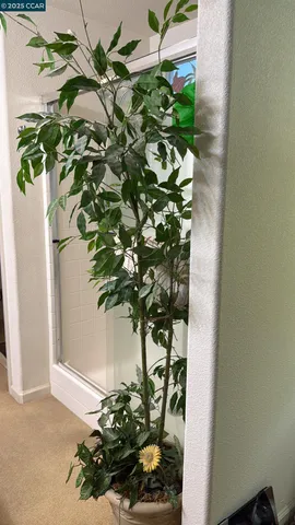 a close view of a bathtub in bathroom