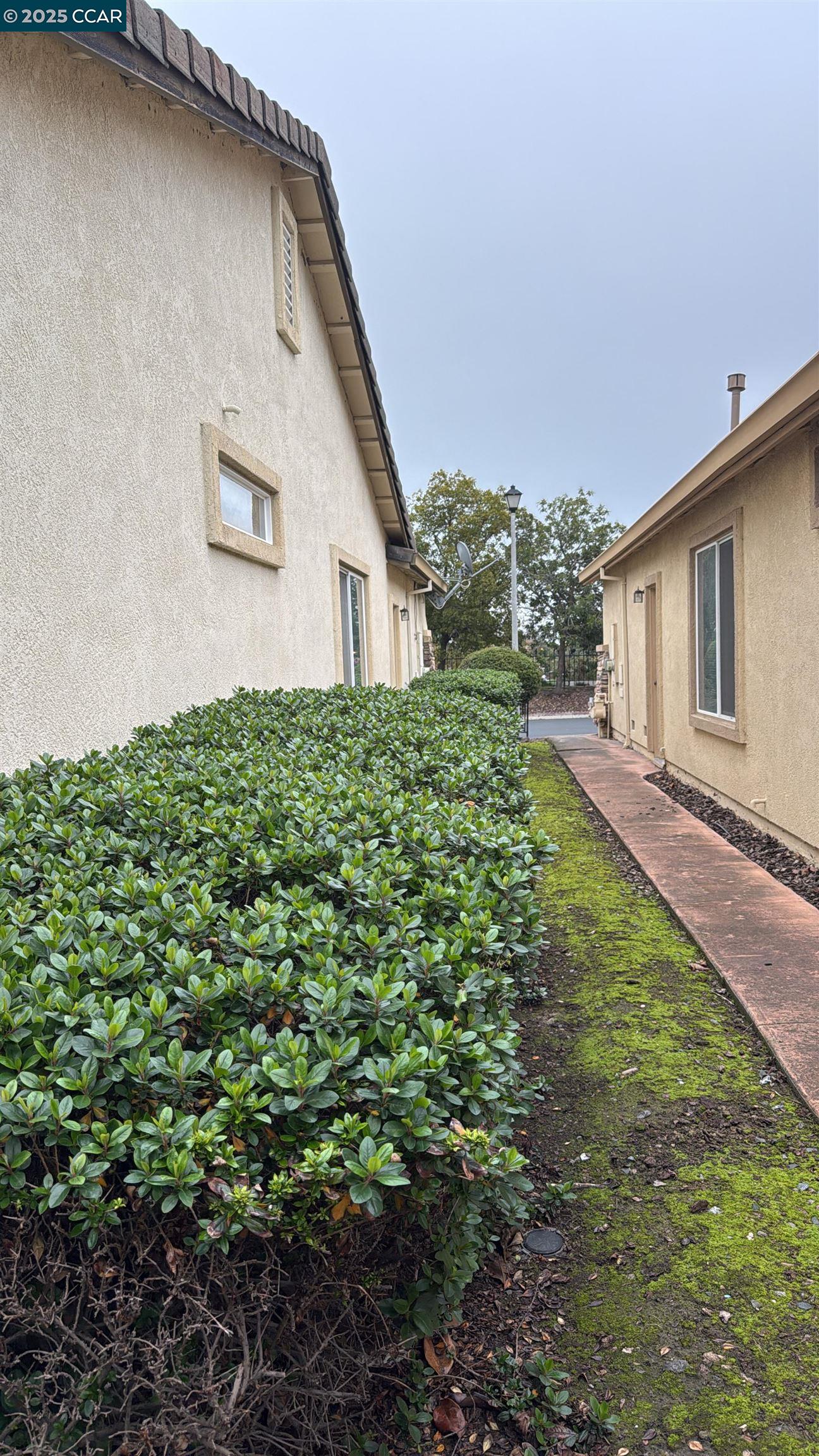 307 Crystal Downs Drive Rio Vista, CA 94571 - Photo 33 of 38 a backyard of a house with lots of green space