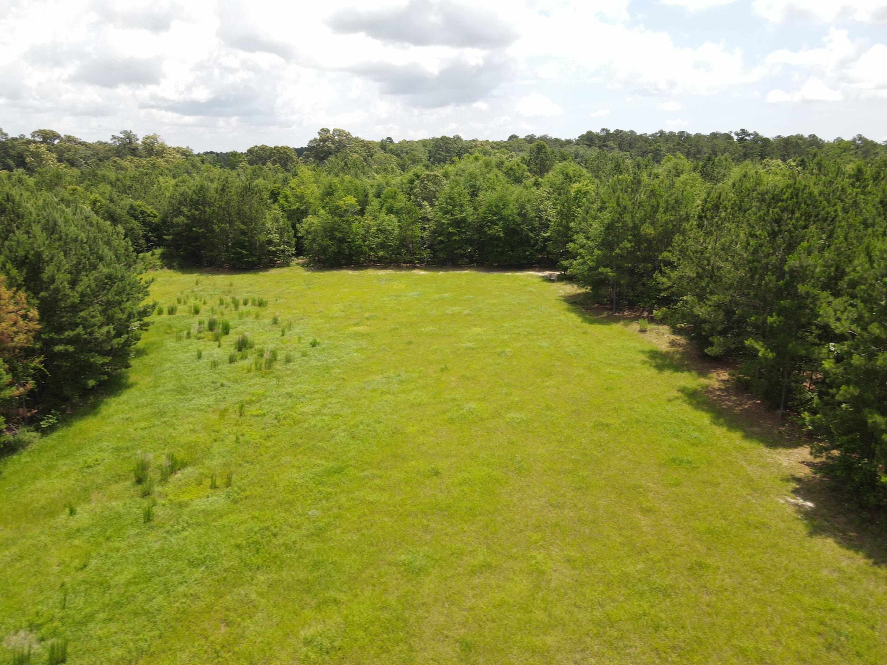 0 Reynolds Road Barnwell, SC 29812 - Photo 18 of 27 DJI_0553
