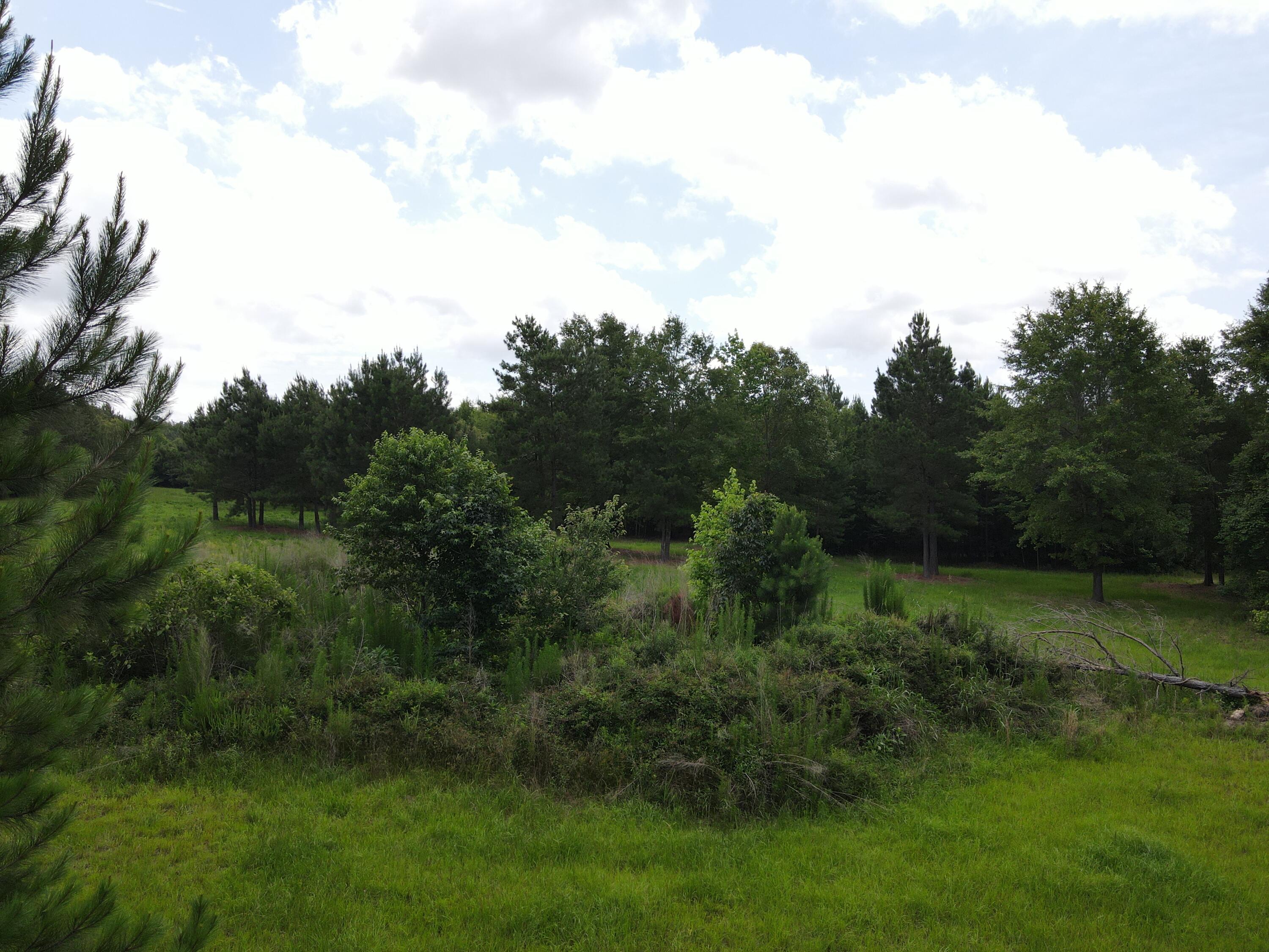0 Reynolds Road Barnwell, SC 29812 - Photo 3 of 27 DJI_0522
