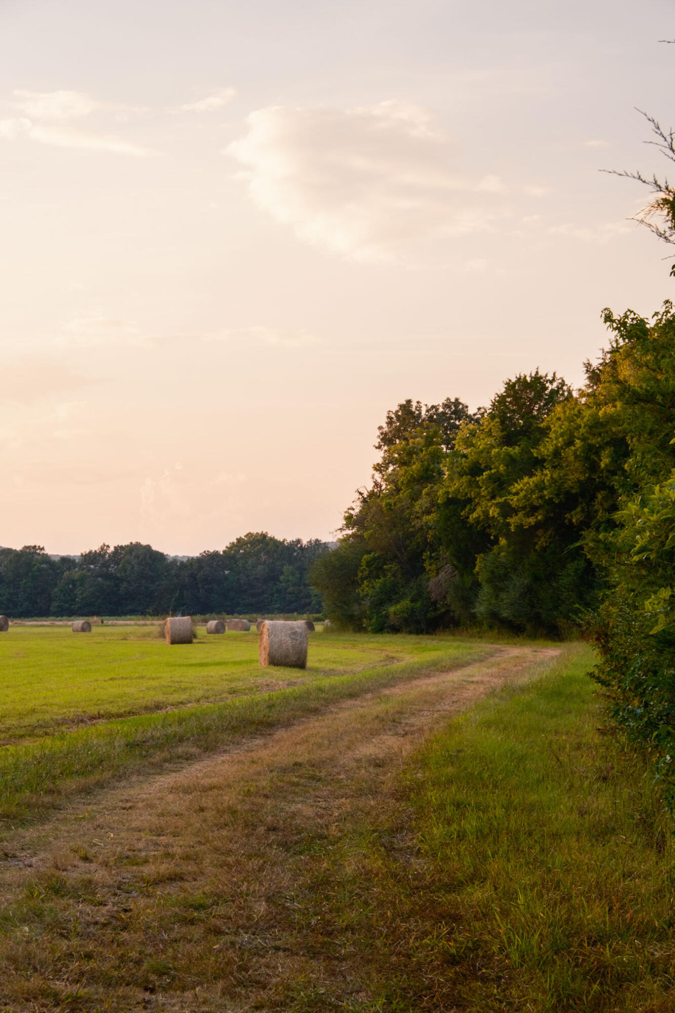 0 Gilliam Road Gurley, AL 35748 - Photo 2 of 69 PPF-1002