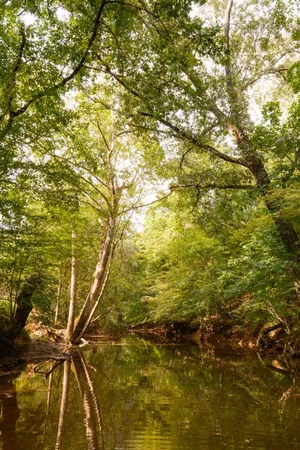 $2,900,000 | 0 Gilliam Road, Gurley, AL 35748