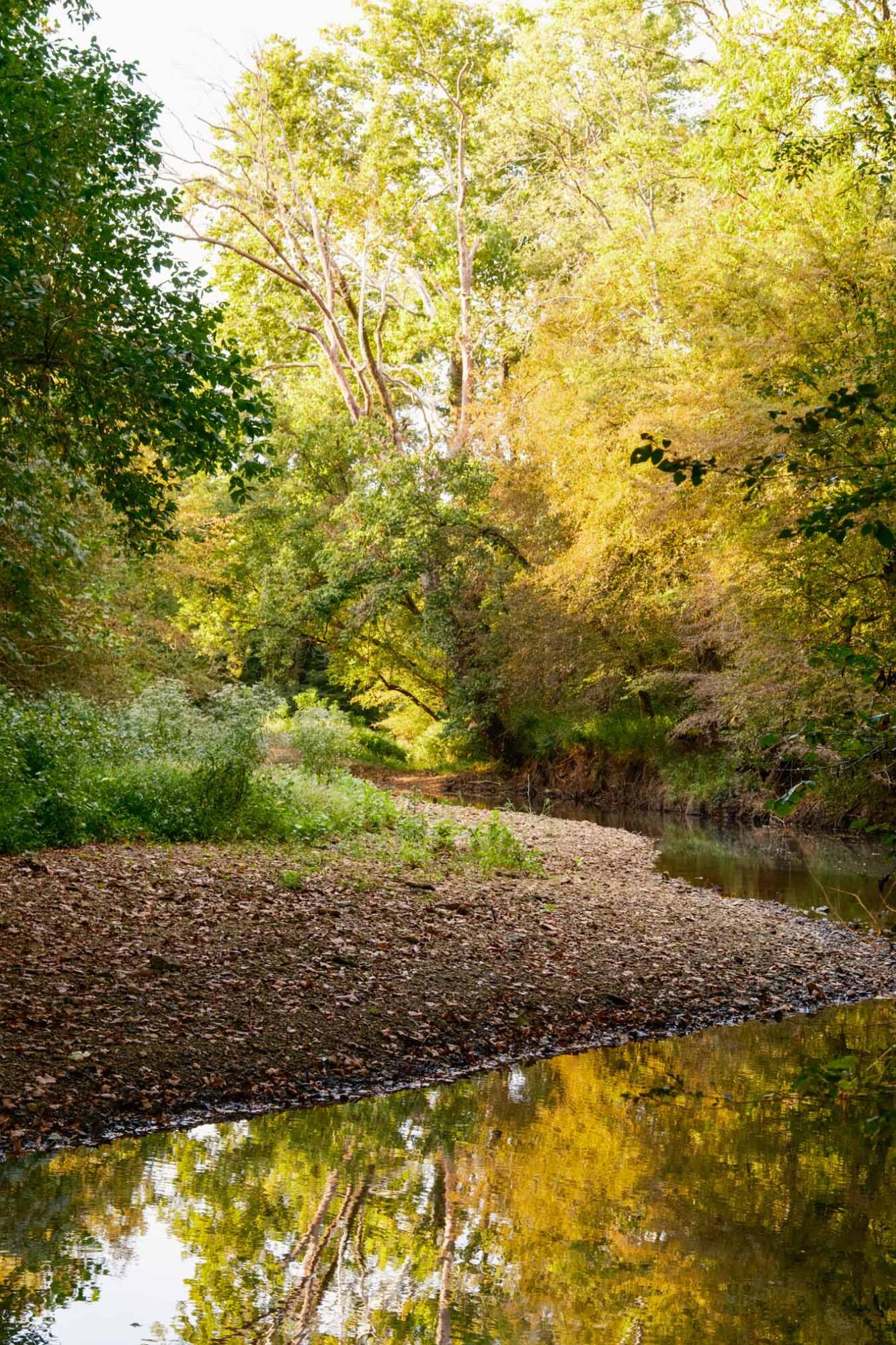 0 Gilliam Road Gurley, AL 35748 - Photo 40 of 69 PPF-1040