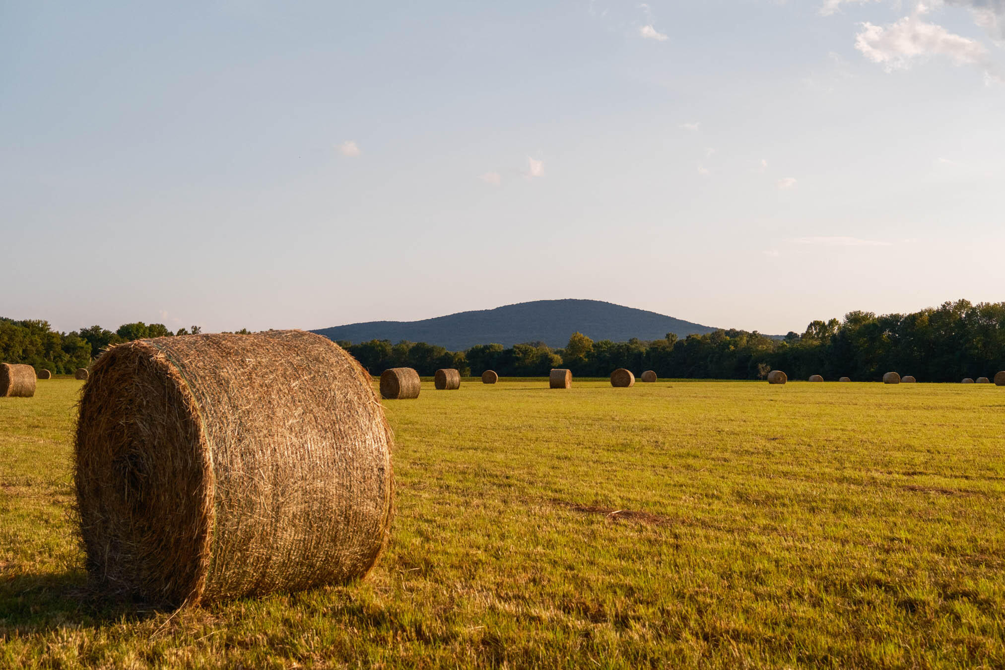 0 Gilliam Road Gurley, AL 35748 - Photo 41 of 69 PPF-1041