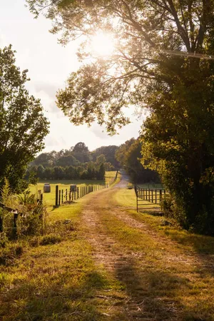 $2,900,000 | 0 Gilliam Road, Gurley, AL 35748