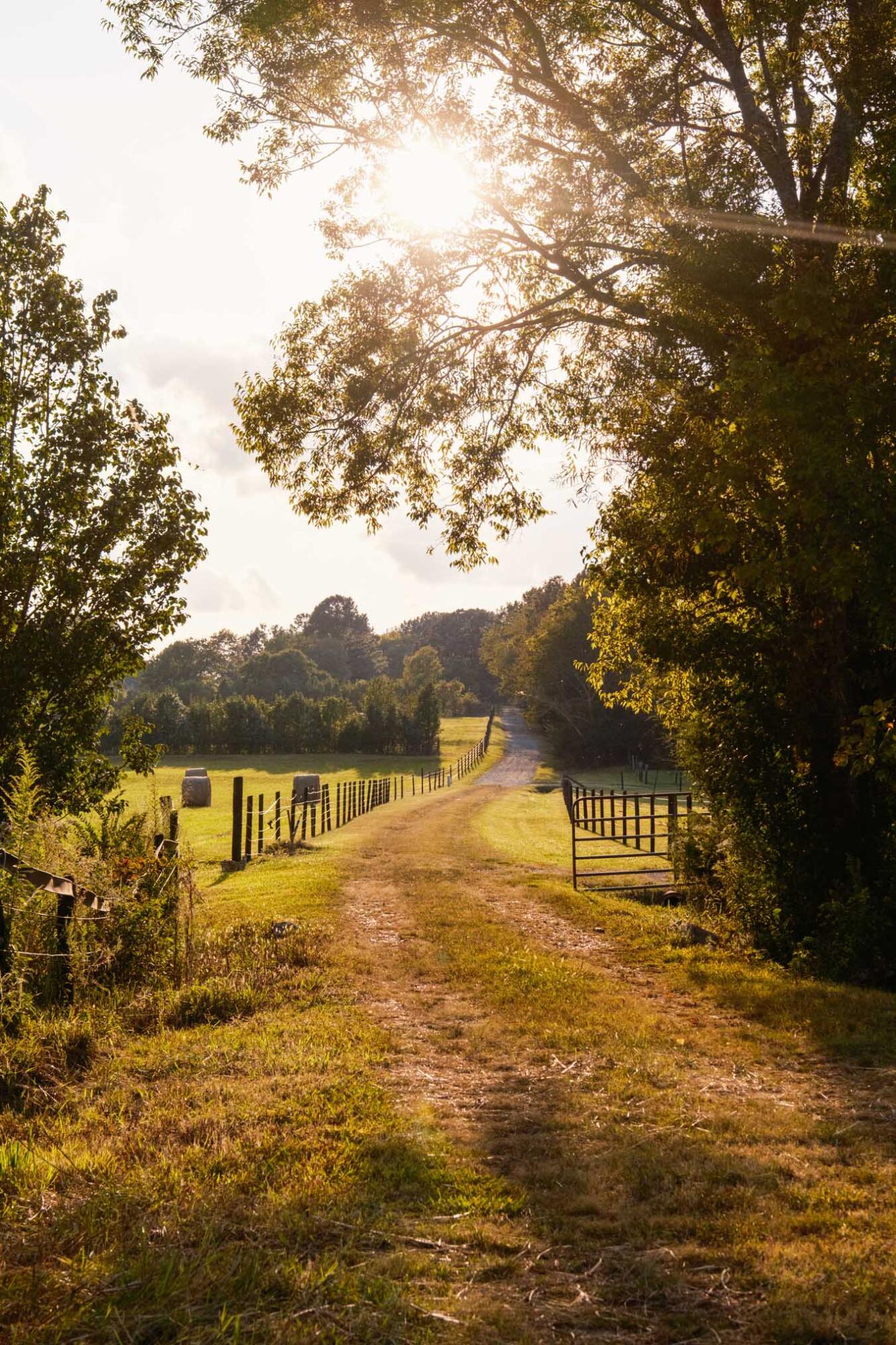 0 Gilliam Road Gurley, AL 35748 - Photo 42 of 69 PPF-1042