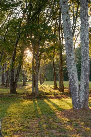 $2,900,000 | 0 Gilliam Road, Gurley, AL 35748