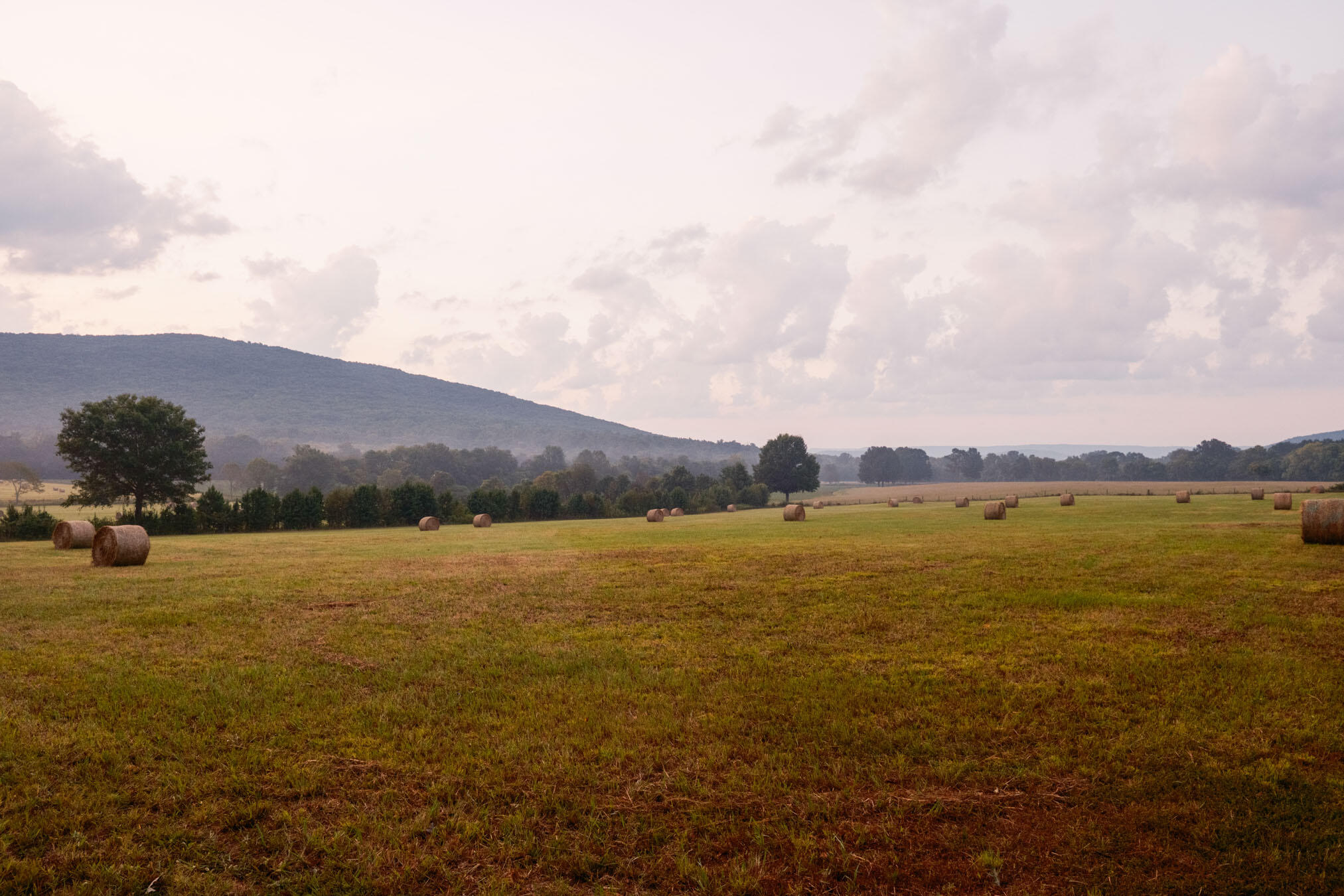 0 Gilliam Road Gurley, AL 35748 - Photo 59 of 69 PPF-1059