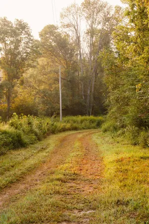 $2,900,000 | 0 Gilliam Road, Gurley, AL 35748